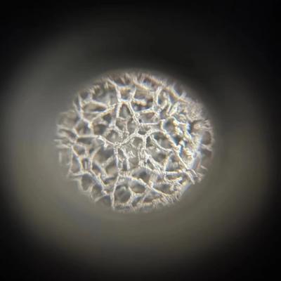 Nickel foam