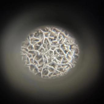 Nickel foam
