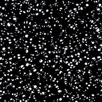 Carbon foam