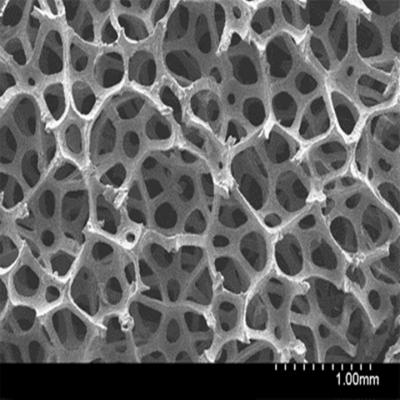 Graphene Foam