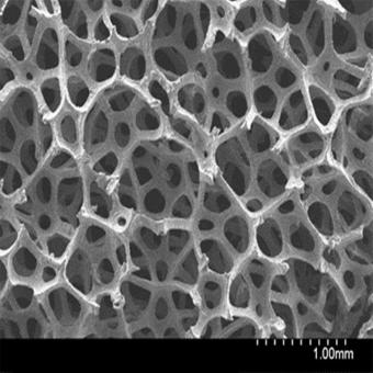 Graphene Foam