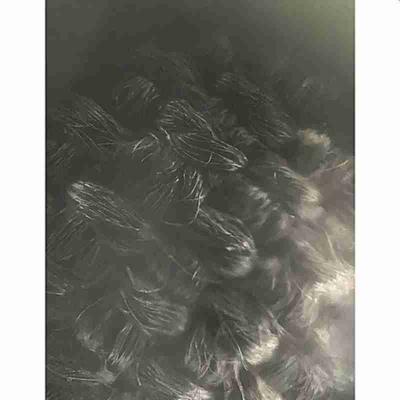Carbon Cloth