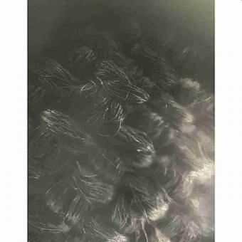 Carbon Cloth